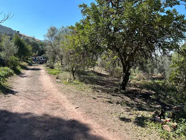 Por 180000€ Villa en Pobla Tornesa
