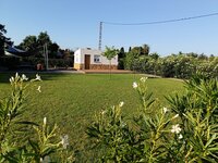 Finca